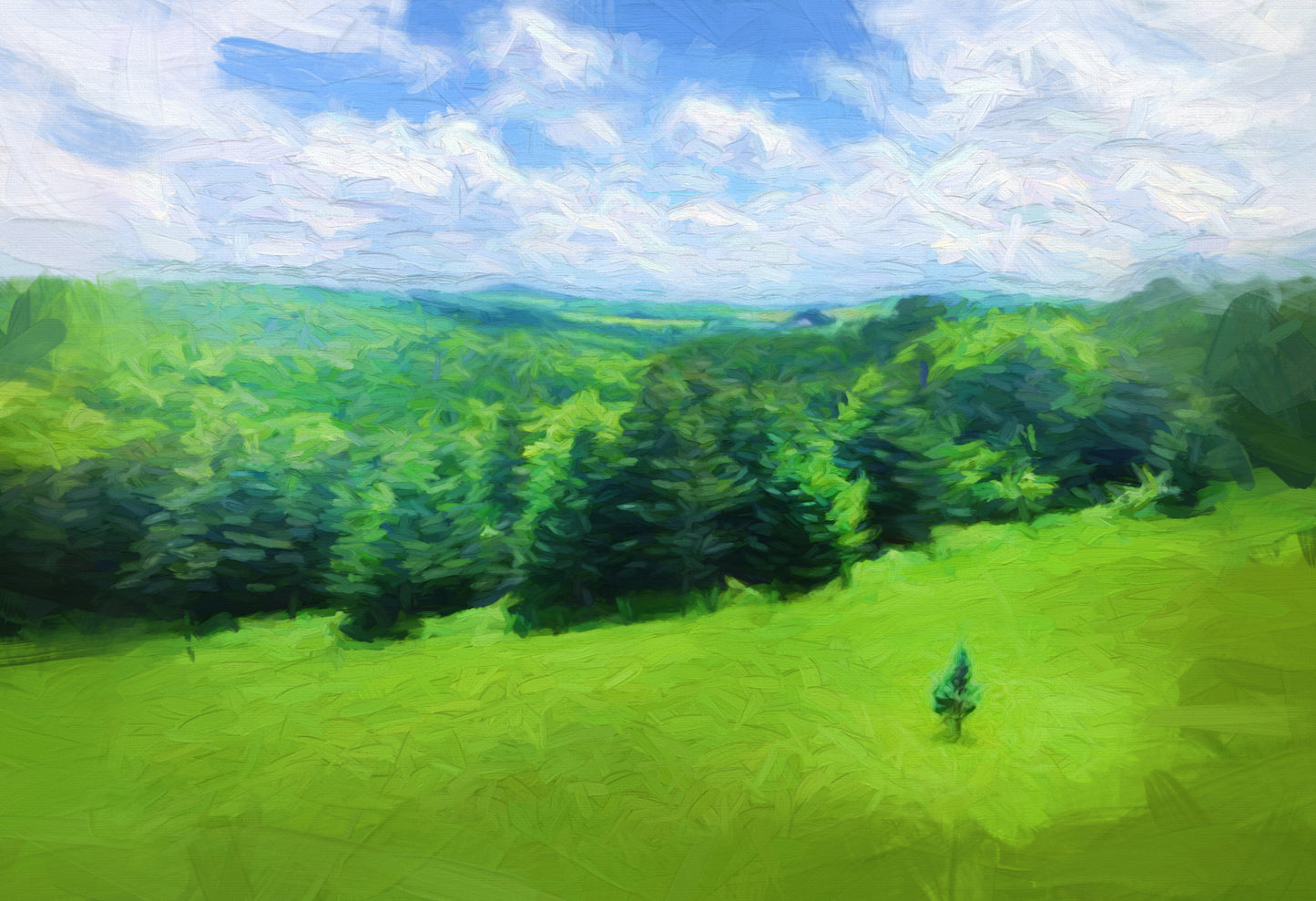 Landscape Canvas