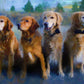 Pet Portrait Large Canvas