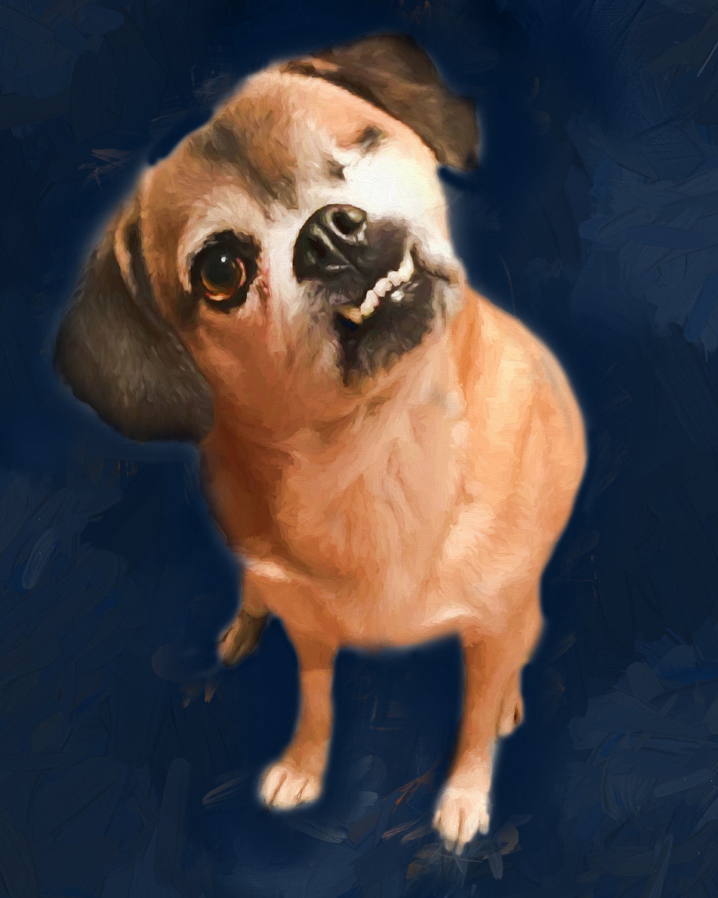 Pet Portrait Digital Delivery