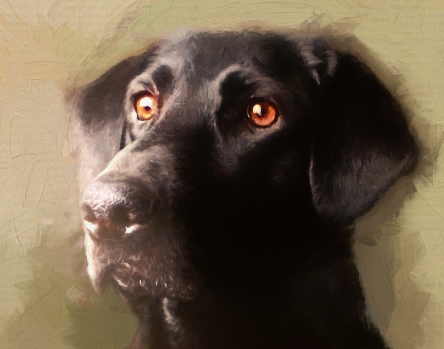 Pet Portrait Digital Delivery